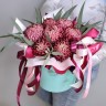Феличита Чудесные хризантемы в шляпной коробке с доставкой в Пятигорске